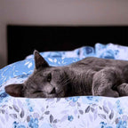 Blue Roses Print – 100% Cotton King Size Duvet Cover Set 2