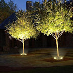 Enchanted Tree – Aluminum And Glass Landscape Lighting 5