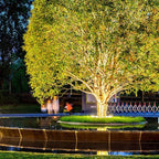 Enchanted Tree – Aluminum And Glass Landscape Lighting 7