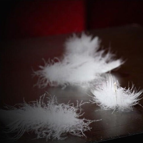 Luxe Goose Down Pillow – 600TC Cotton Cover 5