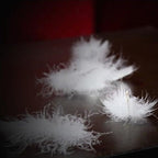 Luxe Goose Down Pillow – 600TC Cotton Cover 5