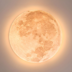 Lunaria Round LED Ceiling Light