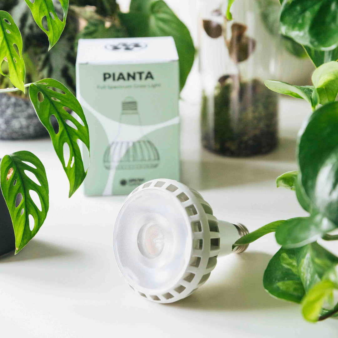Pianta Grow Light LED Bulb 0