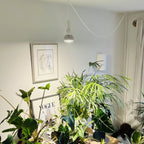 Pianta Grow Light LED Bulb 4