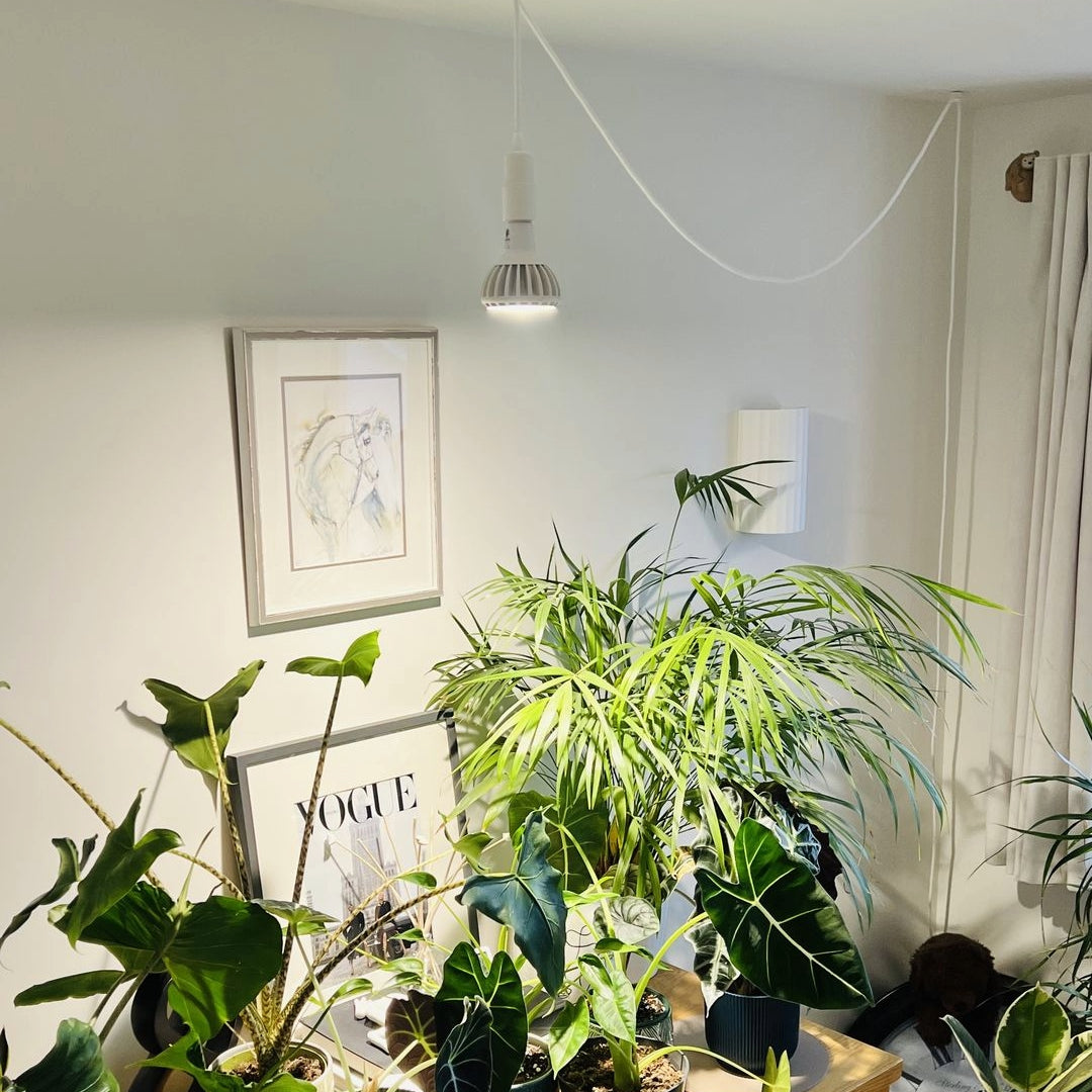 Pianta Grow Light LED Bulb 4