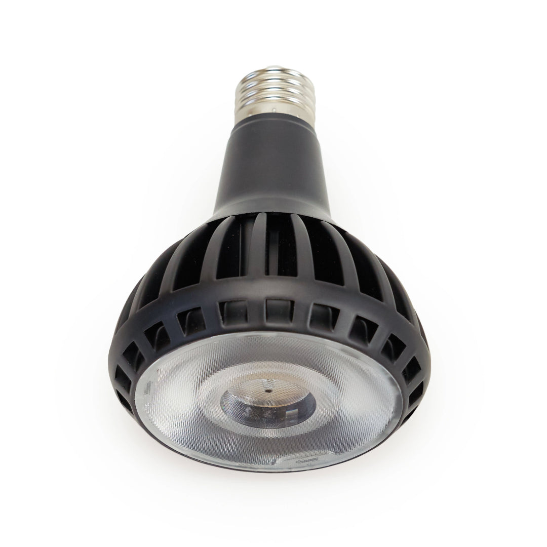 Pianta Grow Light LED Bulb 6