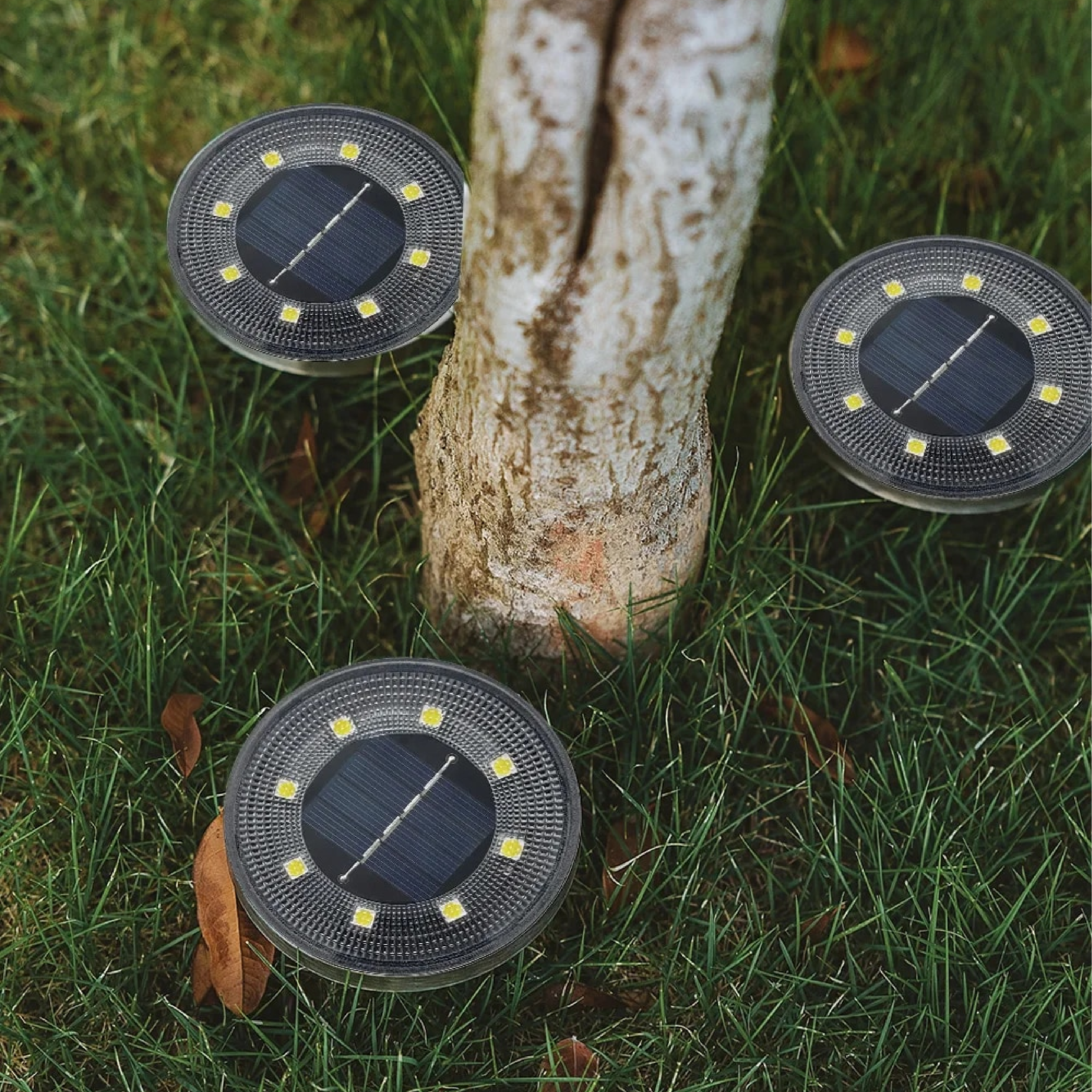 Sconeys™ – Solar-Powered Waterproof Outdoor Garden Lights 4