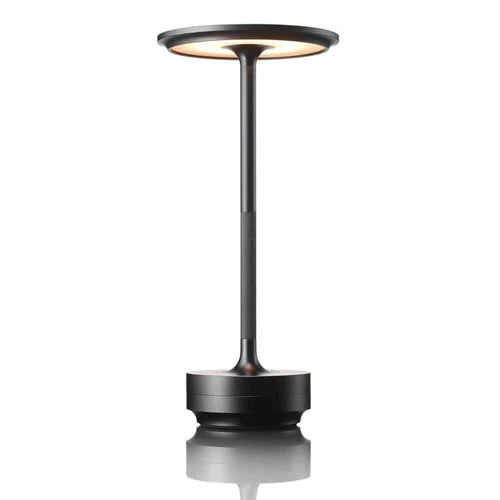 Stellarglo – Stainless Steel & Brass Cordless Table Lamp 6