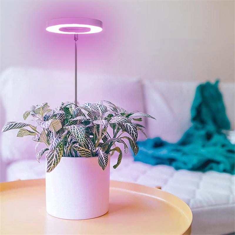 Telescopic Plant Grow Light 10