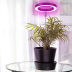 Telescopic Plant Grow Light 11