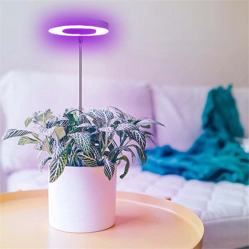 Telescopic Plant Grow Light 12