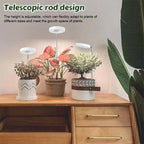Telescopic Plant Grow Light 4