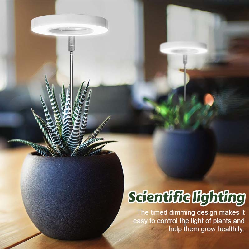 Telescopic Plant Grow Light 5
