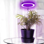Telescopic Plant Grow Light 9