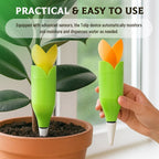 🌷Tulip Plant Dripper 2